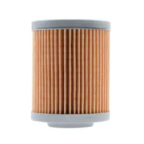 Nt-152b6c4-bd0685 Neutron Oil Filter For Can-am Commander Max 1000r Xt-p 2022