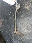 04 Kawasaki Kfx 400 Shifter Pedal 13242-S006 Sku 66 Used. Price: $6.00.