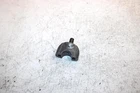 2003 Honda Fourtrax Foreman Rubicon Oem Lower Handlebar Mount 53130-HB3-770 AH11 Used. Price: $9.99.