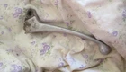 Honda, CT90, NB50, PA50II, TG50, Left Handlebar Lever, (53178-187-000) Used. Price: $21.57.
